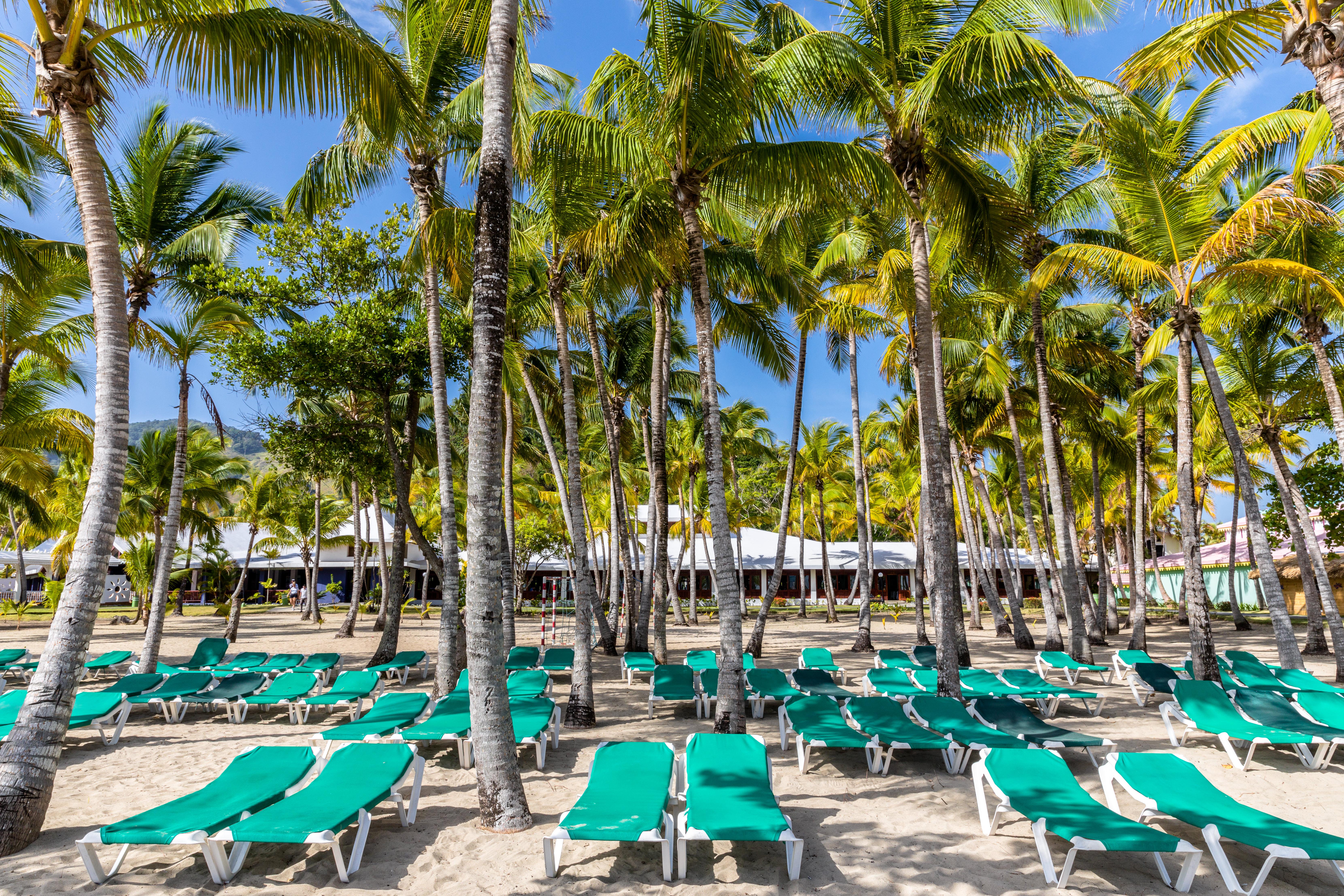 Playabachata Puerto Plata Exterior photo Palm trees at the beach